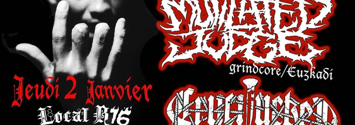 Concert Grindcore et metal crust