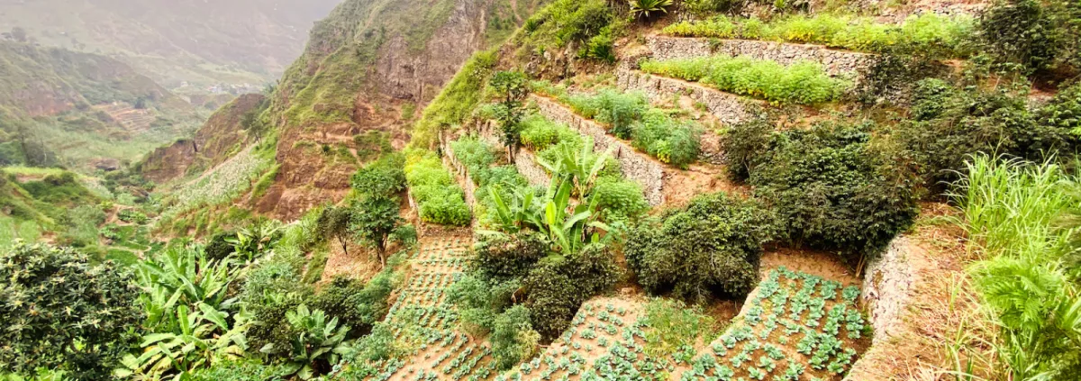 Vallée dess légumes